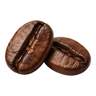Two roasted coffee beans with glossy brown surface and visible center seam on black background