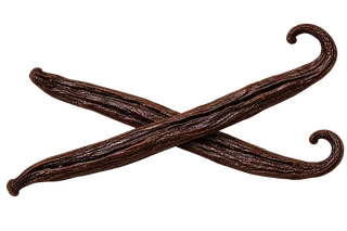 Two dried vanilla beans crossed in an X shape against a black background